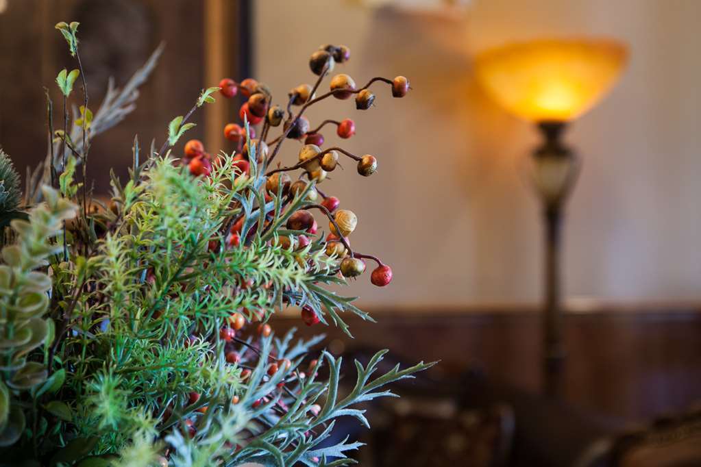 O'Brien Riverwalk Boutique Hotel سان أنطونيو المظهر الداخلي الصورة