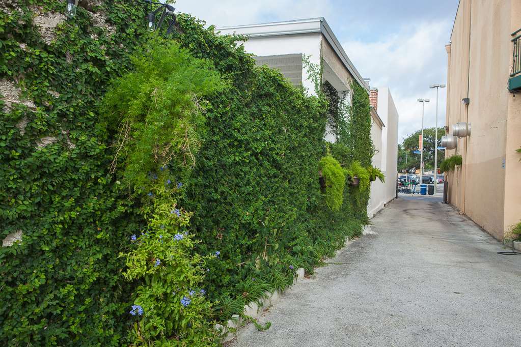 O'Brien Riverwalk Boutique Hotel سان أنطونيو المظهر الخارجي الصورة